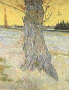 Vincent Van Gogh Trunk of an old Yew Tree (nn04) USA oil painting artist